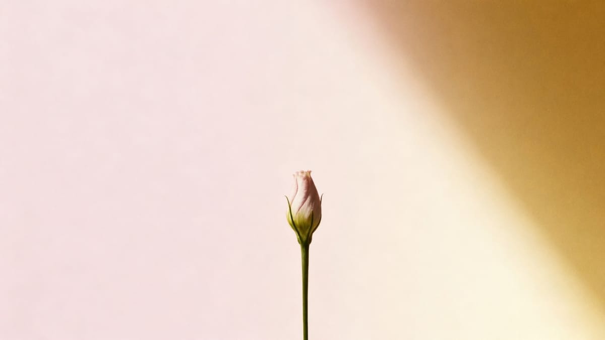 Chapter 6: A Fragile Smile