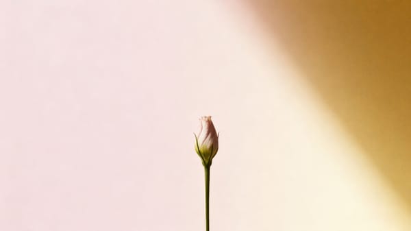 Chapter 6: A Fragile Smile